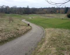 Suppporting the ground at the edge of the Golf Path